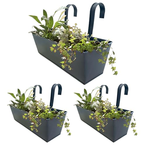Monozoz Geländer-Pflanzgefäß für Outdoor-Pflanzen, 3 x Metall-Geländer, Zauneimer mit abnehmbaren Haken, Gartenbehälter für Blumen, Sukkulenten Monozoz Geländer-Pflanzgefäß für Outdoor-Pflanzen, 3 x Metall-Geländer, Zauneimer mit abnehmbaren Haken, Gartenbehälter für Blumen, Sukkulenten von Monozoz