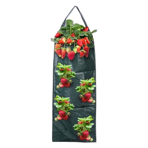 Monozoz Pflanztaschen, Stoff-Pflanzgefäß, Wachstumsbeutel, 8 Löcher, vertikale Gartenkörbe, atmungsaktiv, zum Bepflanzen, Balkon, Außenzaun, platzsparend Monozoz Pflanztaschen, Stoff-Pflanzgefäß, Wachstumsbeutel, 8 Löcher, vertikale Gartenkörbe, atmungsaktiv, zum Bepflanzen, Balkon, Außenzaun, platzsparend von Monozoz