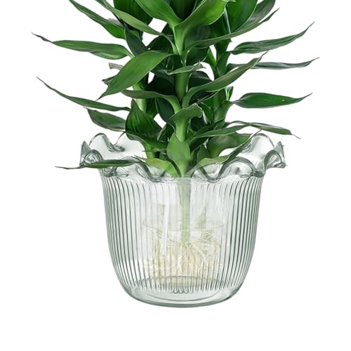 Monozoz Transparente Vase für Blumen, Wasserpflanzenvase, Hydrokultur-Pflanzgefäß für Fotohintergrund, Urlaub, Hotel, Lobby, Bücherregal, Veranstaltung, Bühne, Arbeitsplatz, Küche, getrocknetes von Monozoz