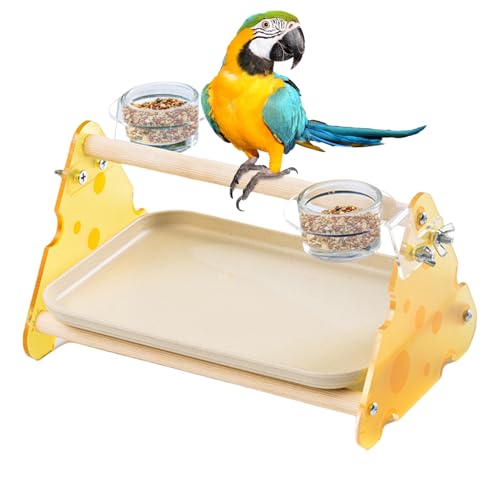 Monozoz Vogel-Trainingsständer, -Spielplatz, Fitnessstudio mit Futterbecher, Vogelspielzeug mit herausnehmbarem Tablett für Wellensittiche, , Sittiche, Sittiche, Sittiche, Sittiche von Monozoz