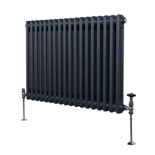 Traditioneller 2-Spalten-Heizkörper 600 x 832mm | Horizontaler Wandheizkörper | Matt Anthrazit Grau Kohlenstoffstahl | Wohn- Badezimmer Küche [Inkl. Reinigungsbürste, Befestigungsset & Halterungen] von Monster Shop