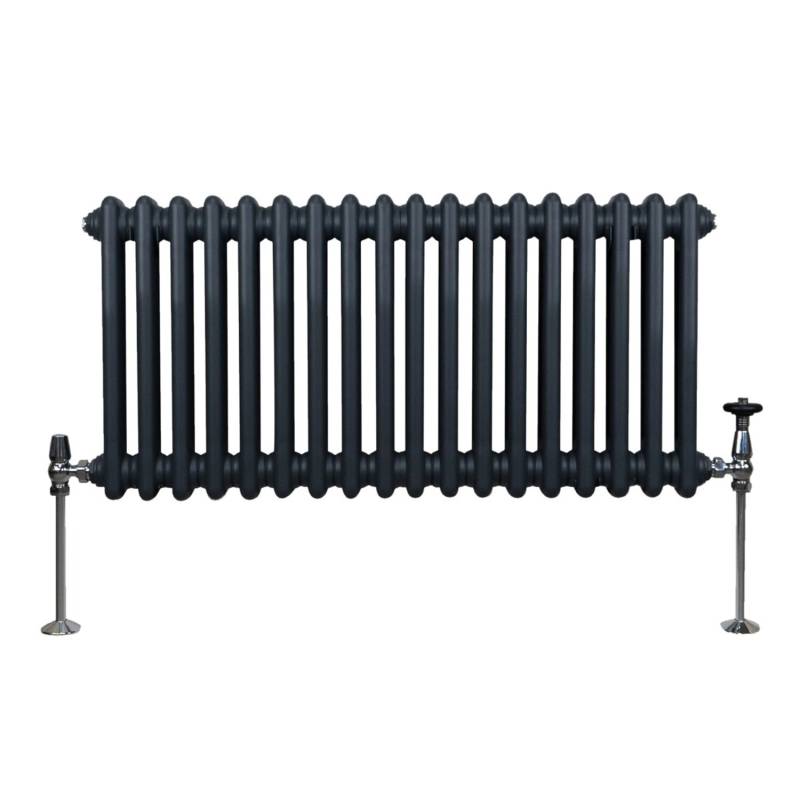 Monstershop Traditioneller 2 Spalten Heizkörper 300 x 832 mm Anthrazitgrau von Monstershop