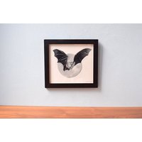 Illustration Fledermaus-Tuschezeichnung Auf Papier Mit Rahmen Gothic Deko Halloween von Monsterstube