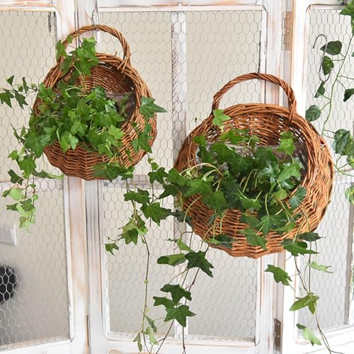 Monsully Wandkörbe, Handgefertigter Gewebter Hängender Pflanzkorb mit Weide Runder Hängender Blumentopf Geflochtener Blumenkorb Pflanzkorb für Drinnen und Draußen, Garten, Veranda, Dekoration von Monsully