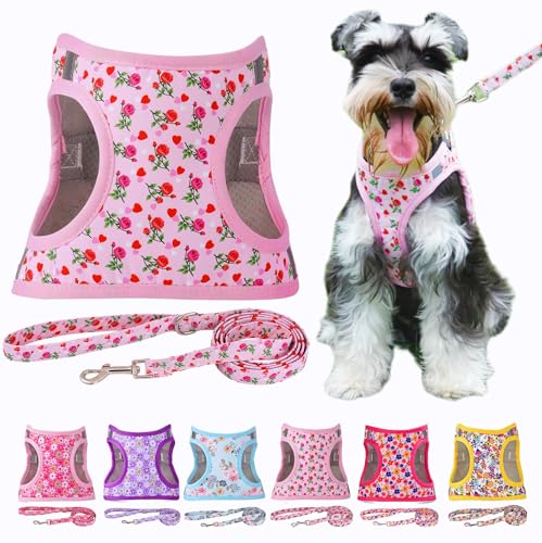 Moonpet Step in Air Hundegeschirr Leine Set – Reflektierendes Blumenmuster gepolsterte Netzweste Geschirr für Katzen, Welpen, extra kleine, kleine, mittelgroße Hunde-Herz Rose – S von Moonpet