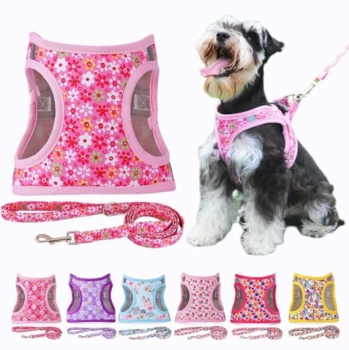 Moonpet Step in Air Hundegeschirr Leine Set – Reflektierendes Blumenmuster gepolsterte Netzweste Geschirr für Katzen, Welpen, extra kleine, kleine, mittelgroße Hunde-Rosa Blume -XS von Moonpet