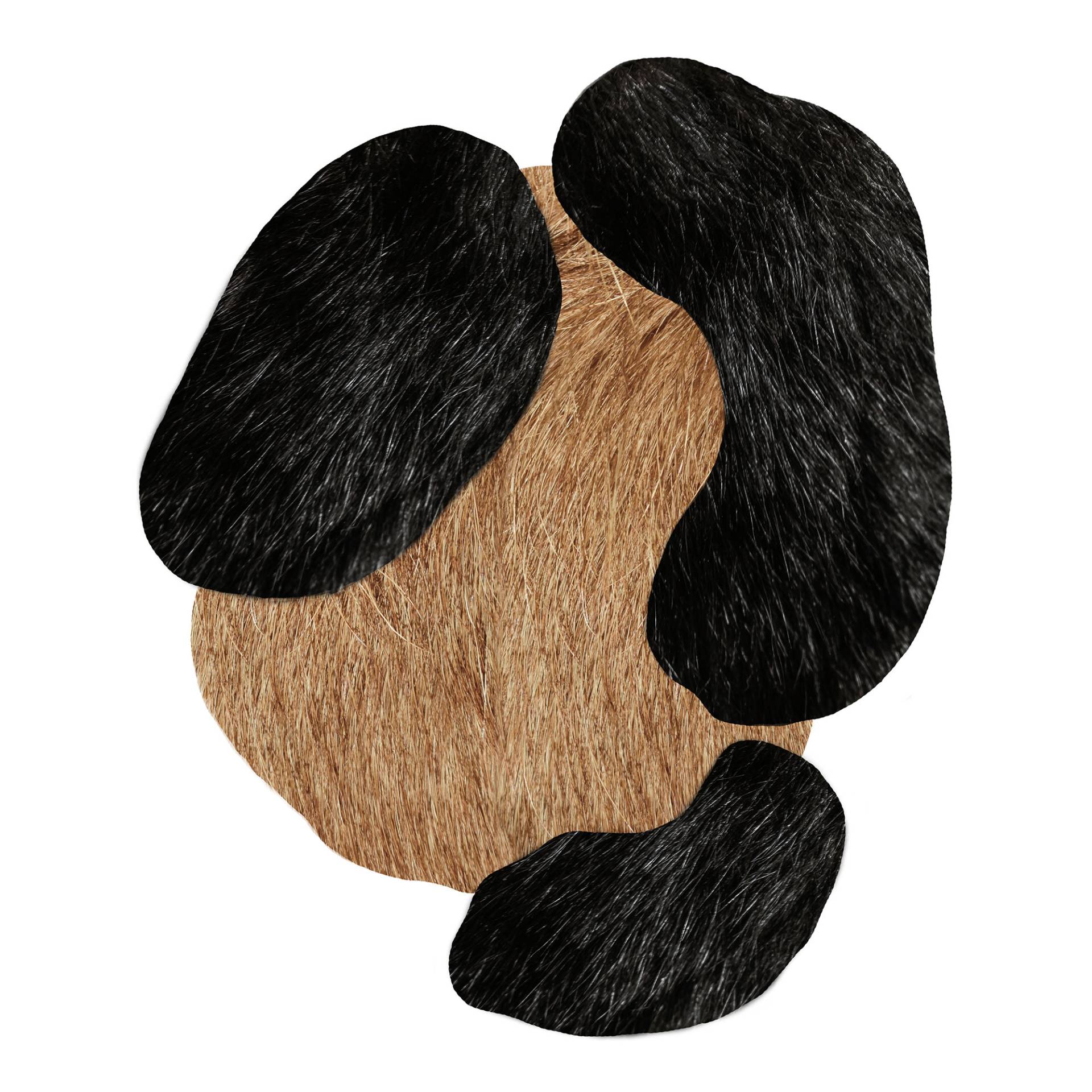 Moooi Carpets - Bearded Leopard 1 Teppich - braun, schwarz/LxB 249x206cm von Moooi Carpets