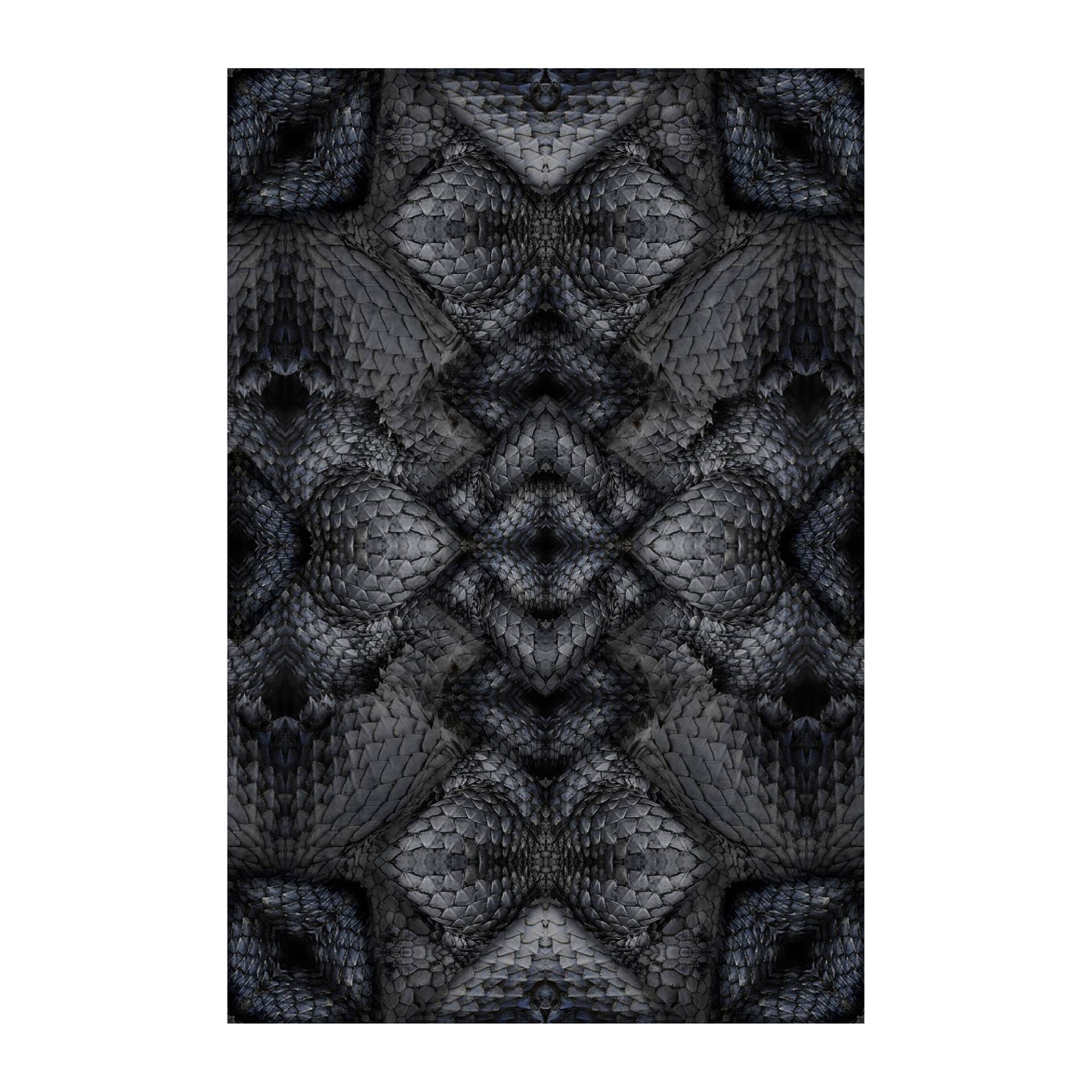 Moooi Carpets - Dwarf Rhino Teppich - schwarz/LxB 300x200cm von Moooi Carpets