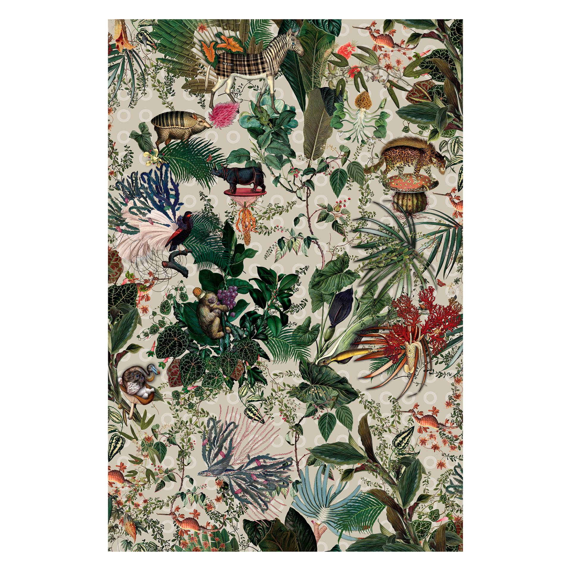 Moooi Carpets - Menagerie of Extinct Animals Ivory Rectangle Teppich 200x300cm - mehrfarben/Polyamid mit niedrigem Flor von Moooi Carpets