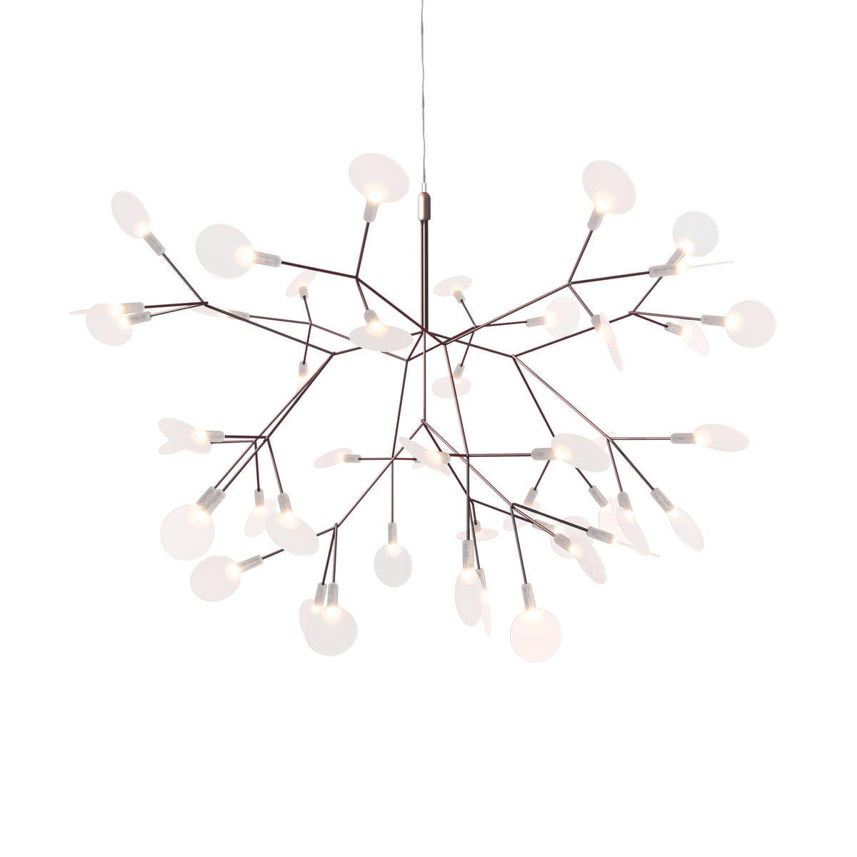 Moooi Heracleum Il I Small Pendelleuchte Kupfer Leuchte Hängelampe Defektware D-Ware von Moooi