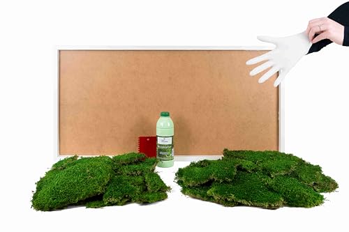 DIY Moosbild 100% Flachmoos, Moosbild selber Machen, Wandbild selber kleben, Do it Yourself Set Moos kleben Wanddeko selbst herstellen (Weiß, 110x55 cm) von Moos Design