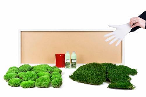 DIY Moosbild selber machen, 100x35 cm Wandbilder selber kleben, Kugelmoos und Flachmoos 50%/50% Moosbilder selbst gestalten Do it yourself Set Moos kleben Komplett-Set Bilderrahmen (weiß) von Moos Design