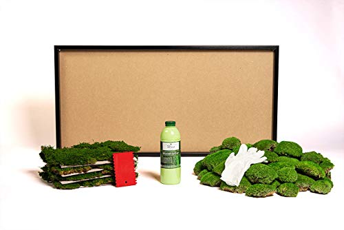 DIY Moosbild selber Machen, Wandbilder selber kleben, Moosbilder selber gestalten, Do it Yourself Set Moos kleben Wanddeko selbst herstellen (Schwarz, 110x55 cm) von Moos Design