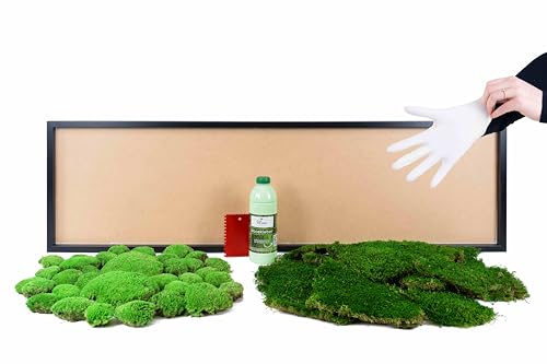 DIY Moosbild selber machen, Wandbilder selber kleben, Moosbilder selbst gestalten Do it yourself Set Moos kleben Wanddeko Deko Wandbild Komplett-Set Holzrahmen (schwarz, 140 x 40) von Moos Design