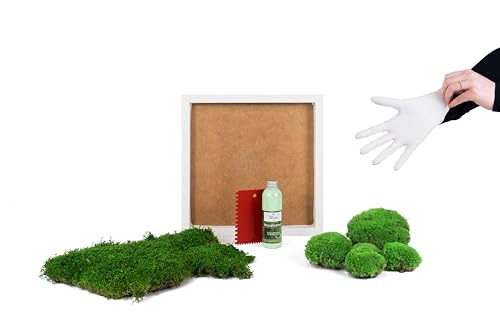 DIY Moosbild selber machen, Wandbilder selber kleben, Moosbilder selbst gestalten Do it yourself Set Moos kleben Wanddeko selbst herstellen Komplett-Set Holzrahmen (weiß, 35 x 35 cm) von Moos Design