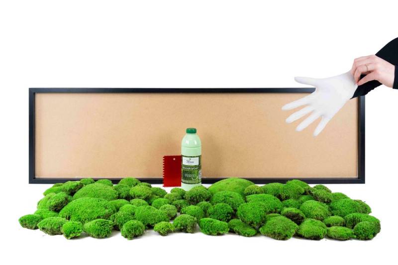 Moos-Design Bild DIY-Moosbild mit 100 % Kugelmoos von Moos-Design