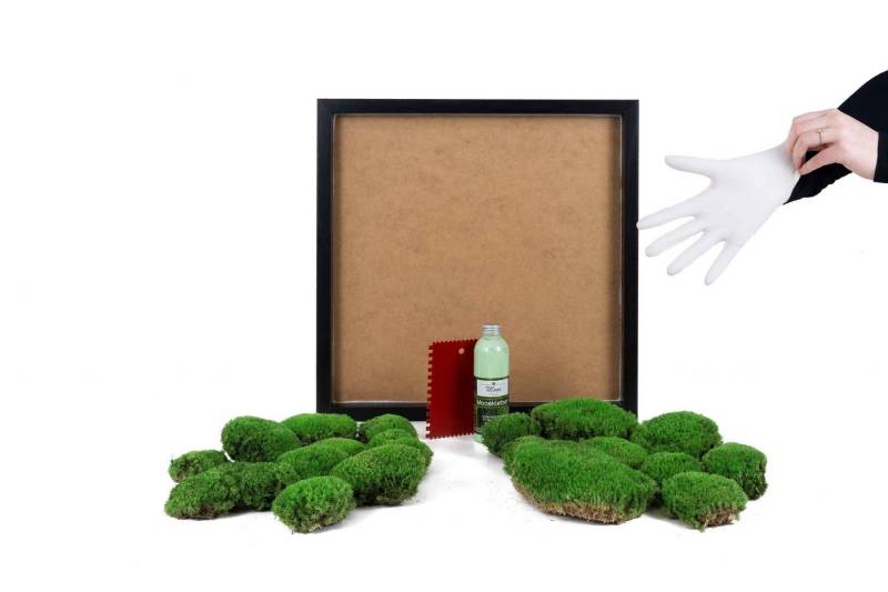 Moos-Design Bild DIY-Moosbild mit 100 % Kugelmoos von Moos-Design