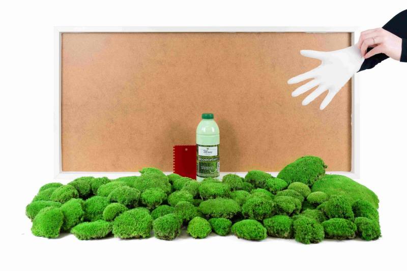 Moos-Design Bild DIY-Moosbild mit 100 % Kugelmoos Moos-Design Bild DIY-Moosbild mit 100 % Kugelmoos von Moos-Design