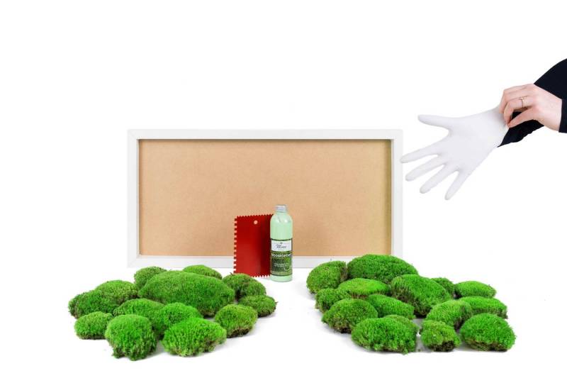 Moos-Design Bild DIY-Moosbild mit 100 % Kugelmoos von Moos-Design