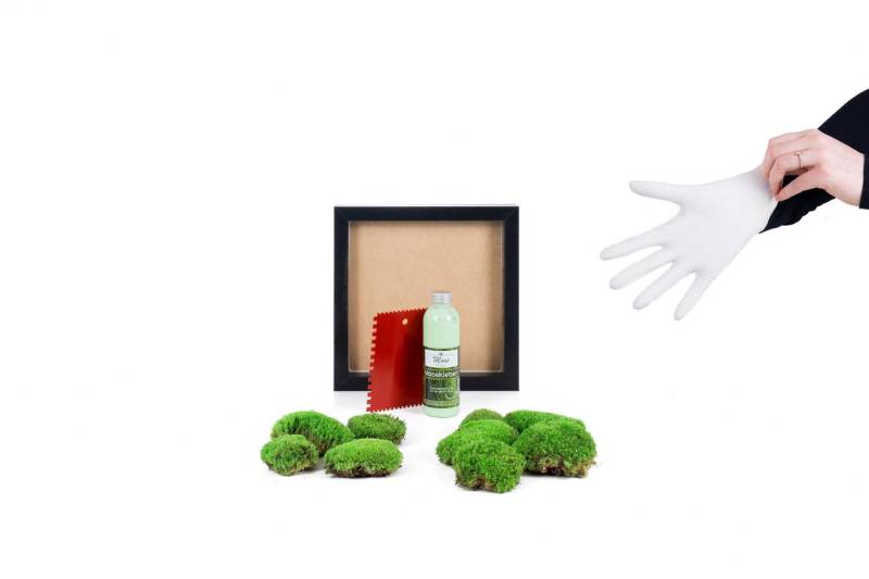 Moos-Design Bild DIY-Moosbild mit 100 % Kugelmoos von Moos-Design