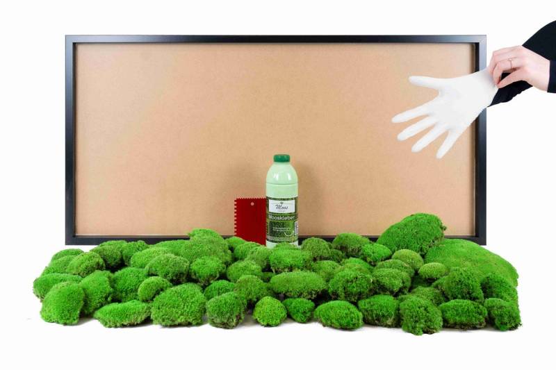 Moos-Design Bild DIY-Moosbild mit 100 % Kugelmoos Moos-Design Bild DIY-Moosbild mit 100 % Kugelmoos von Moos-Design