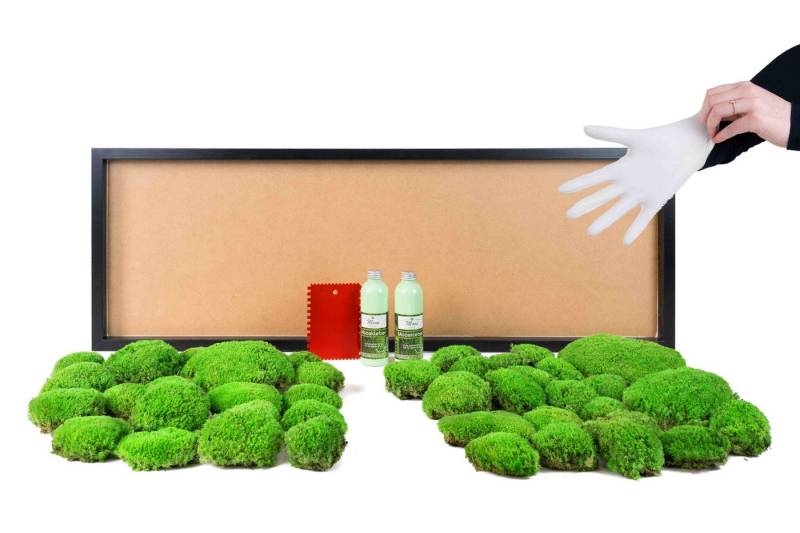 Moos-Design Bild DIY-Moosbild mit 100 % Kugelmoos von Moos-Design
