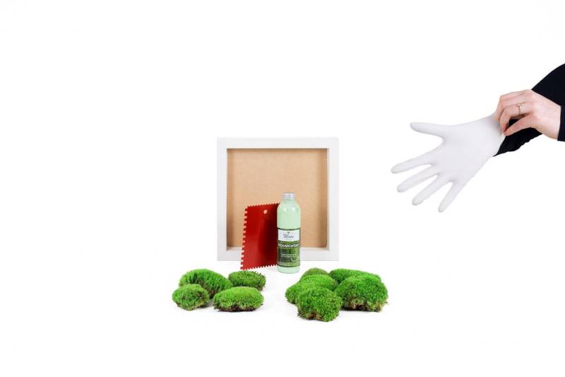 Moos-Design Bild DIY-Moosbild mit 100 % Kugelmoos von Moos-Design