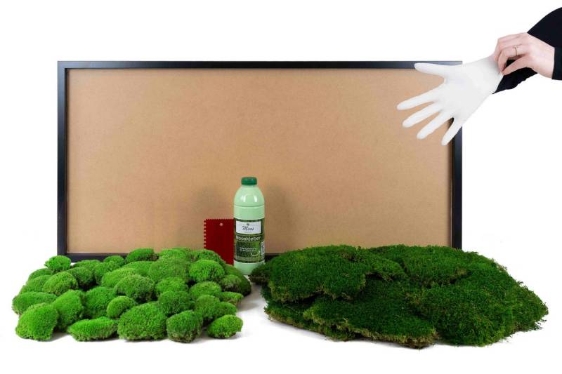 Moos-Design Bild DIY-Moosbild mit 50 % Kugelmoos und 50 % Flachmoos von Moos-Design