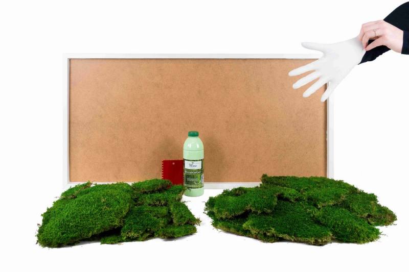 Moos-Design Bild DIY-Moosbilder mit 100 % Flachmoos von Moos-Design