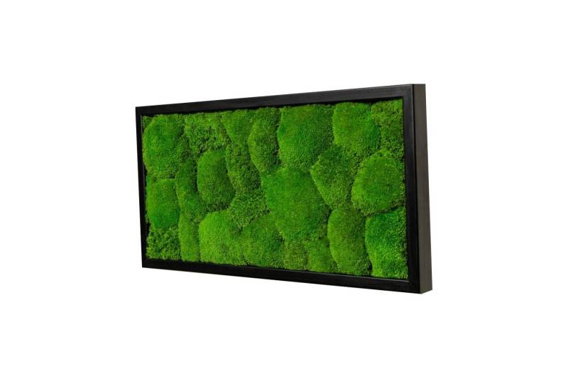 Moos-Design Bild Moosbild Ball Design mit 100% Kugelmoos von Moos-Design