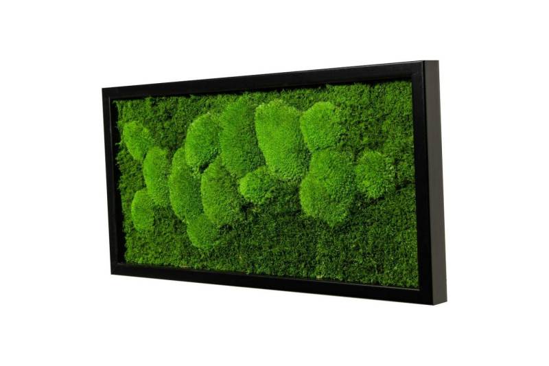 Moos-Design Bild Moosbild Fifty Fifty Design mit 50% Kugelmoos und 50% Flachmoos von Moos-Design