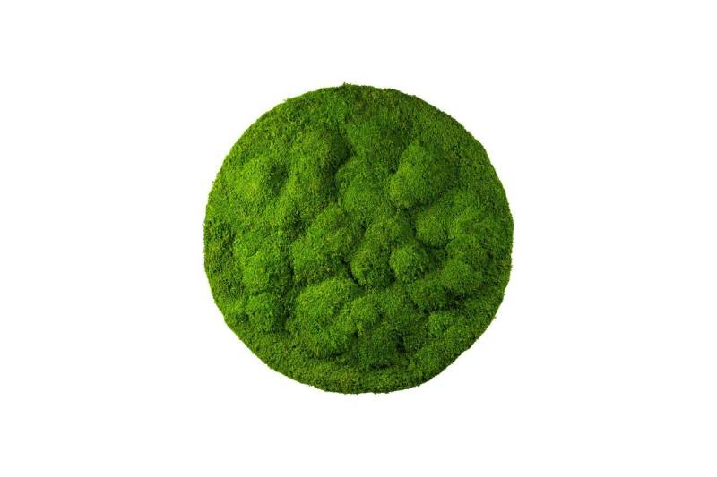 Moos-Design Bild Rundes Moosbild von Moos-Design