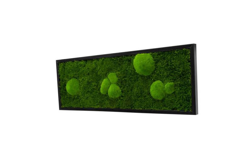 Moos-Design Bilderrahmen Moos Bild Forest Design 80% Flachmoos und 20% kugelmoos Moos-Design Bilderrahmen Moos Bild Forest Design 80% Flachmoos und 20% kugelmoos von Moos-Design