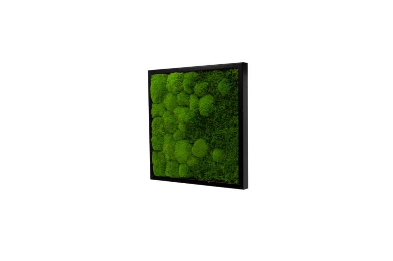 Moos-Design Bilderrahmen Moos Bild River Design 50% Flachmoos und 50% Kugelmoos im Verlauf von Moos-Design