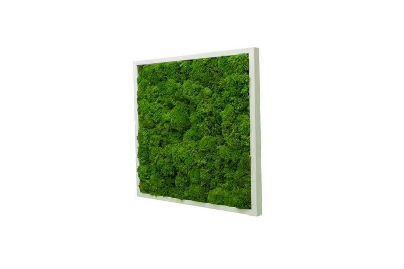 Moos-Design Bilderrahmen Moos Bild Wave Design 100% Bollenmoos von Moos-Design