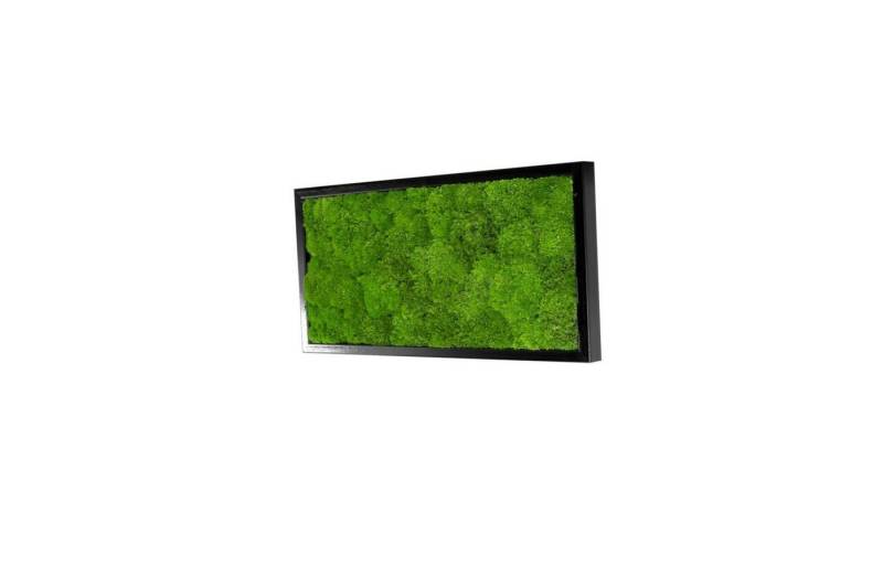 Moos-Design Bilderrahmen Moos Bild Wave Design 100% Bollenmoos von Moos-Design