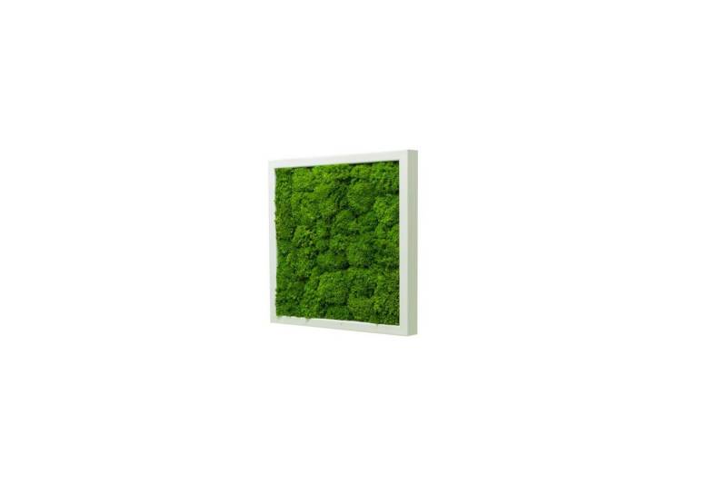 Moos-Design Bilderrahmen Moos Bild Wave Design 100% Bollenmoos von Moos-Design