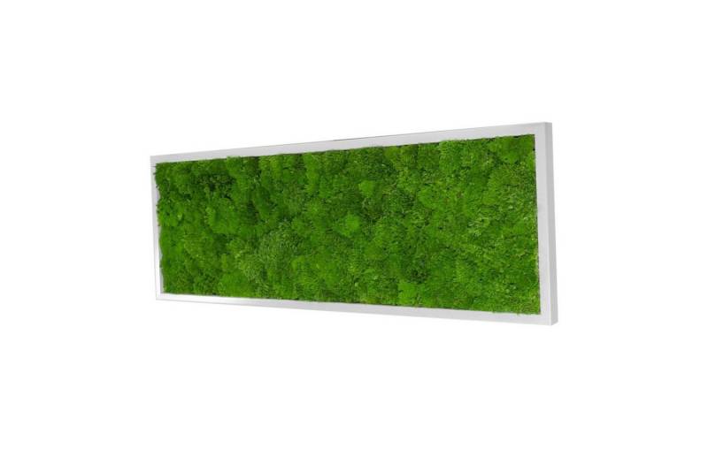 Moos-Design Bilderrahmen Moos Bild Wave Design 100% Bollenmoos von Moos-Design