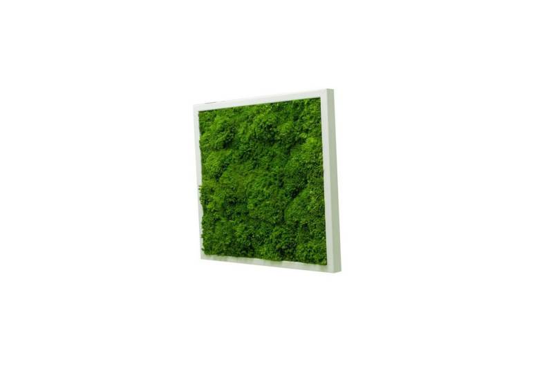 Moos-Design Bilderrahmen Moos Bild Wave Design 100% Bollenmoos von Moos-Design