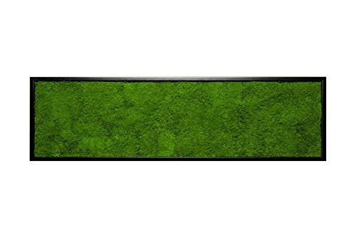 Moosbild Wandbild mit Moos, Moosplatte, versch. Maße (100% Flachmoos) (schwarz, 140x40 cm) von Moos Design