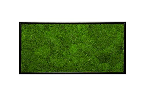 Moosbild Wandbild mit Moos, Moosplatte, versch. Maße (100% Flachmoos) (schwarz, 60x30 cm) von Moos Design