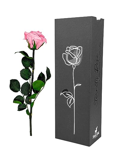 Moos Zeit KUNST DER NATUR Rosa Infinity Rose mit Stiel, echte konservierte Rose in Premium Geschenkbox - ewige Blume mit Rosenduft Haltbar bis zu 3 Jahre von Moos Zeit KUNST DER NATUR