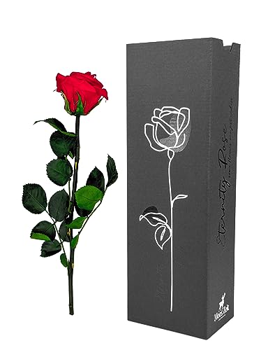 Moos Zeit KUNST DER NATUR Rote Infinity Rose mit Stiel, echte konservierte Rose in Premium Geschenkbox - ewige Blume mit Rosenduft Haltbar bis zu 3 Jahre von Moos Zeit KUNST DER NATUR