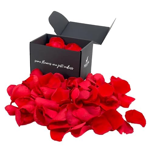 echte konservierte Rosenblätter rot 50g aus Rosenblütten, ideal als Hochzeits dekoration, Geburtsag Valentinstag oder romantische Atmosphäre Geschenk für Frauen mit Rosenduft von Moos Zeit KUNST DER NATUR