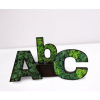 Benutzerdefinierte 3D Buchstaben, Zahlen Und Sonderzeichen Pflanzen Mit Islandmoos Gefüllt Als Wanddekor Für Natürliches Büro/Praxis Grün von MoosSchmiede
