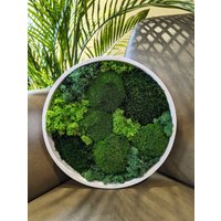 Hangefertigte Moosbilder Personalisierbar Mit Kugelmoos, Plattenmoos Und Islandmoos, Natur Moos Wand Zum Verschenken, Natürliche Deko von MoosSchmiede