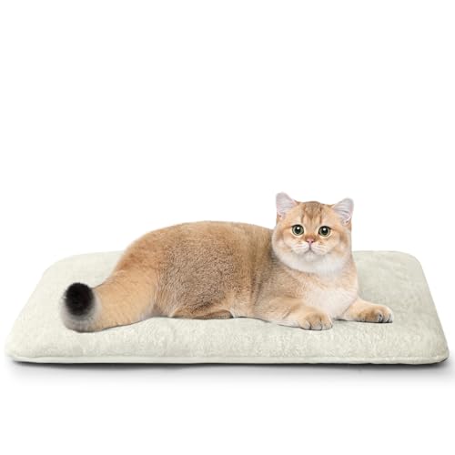 Mora Pets Katzenkissen Flauschig Katzendecke für Katzen Katzenbett Waschbar Kissen für Katzen Katzenmatte Wasserfest und rutschfest Kuscheliges Katzenbett Beige 56 x 32 cm von Mora Pets