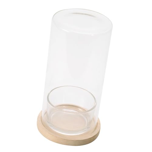 Glashydroponic Terrarium Flaschen Pflanze Glasflasche Töpfe Bringen Die Natur In Arbeitsbereiche Für Büro Oder Hausgebrauch Dekore Büroschreibtisch Plant Terrarium von Morain