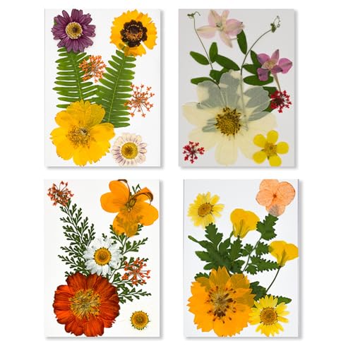 Natürliche gepresste Blumen-Sets, 32 Stück, echte getrocknete Blumen für handgefertigten Schmuck und Kunstprojekte, echte getrocknete Blumen für Harzkunst, 4 Stück von Morain