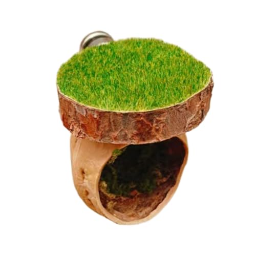 Springspinnen Unterschlupf Höhle Atmungsaktiv Holz Lebensräume Haus für und kleine Reptilien Ruheplatz Terrarium Dekorationen Holz Springgehege von Morain